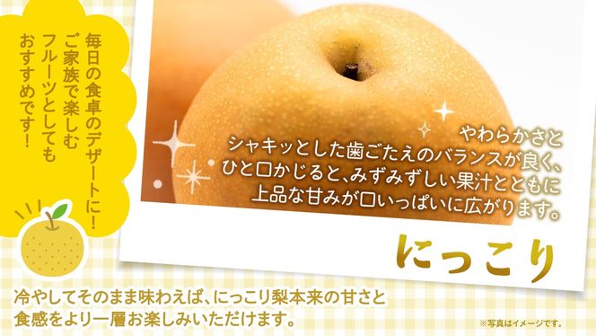 ＜ 訳あり ＞ にっこり 約5kg 【2026年10月より発送開始】（茨城県共通返礼品 [梨]：大子町産） ご家庭用 フルーツ なし ナシ 和梨 梨 わけあり 果実 旬のフルーツ お取り寄せ くだもの 果物 みずみずしい