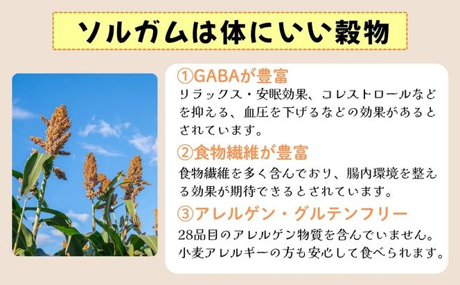 【先行予約】飯山産ソルガム 500ｇ 1袋 《出荷時期：2026年12月中旬頃〜》（Cn-001）
