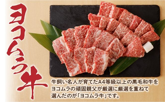 【鹿児島黒毛和牛A4～A5】焼肉上セット(上カルビ/上ロース)　K189-008