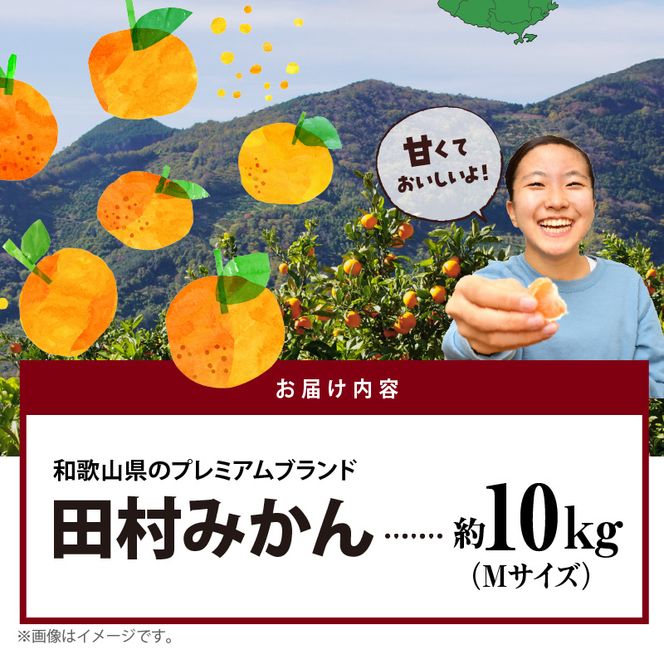 AB7306_【2026年先行予約】プレミアムブランド 田村みかん Mサイズ 秀品  約10kg _ 和歌山県産 蜜柑 ミカン フルーツ 果物 ギフト お歳暮 完熟