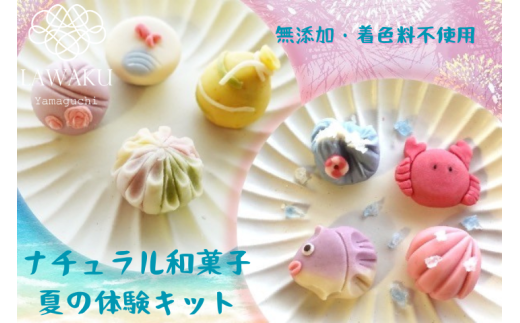 D075 ナチュラル和菓子体験キット（こしあん＆チョコあん）
