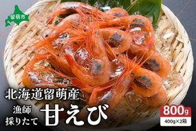 甘エビ 北海道 漁師採りたて 甘えび 400g×2箱 留萌産 あまえび 甘海老 海老 エビ 南蛮エビ つまみ おつまみ ご飯のお供 おかず 海鮮 海産物 海の幸 魚介 魚介類 刺身 お刺身 刺し身 さしみ 天ぷら 冷凍 留萌 