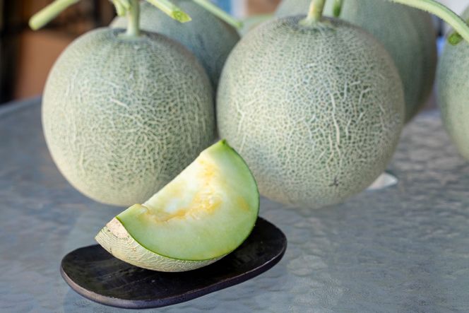 【先行予約】野木源の源喜メロン 2玉入り（2026年7月下旬～発送）　NO00017