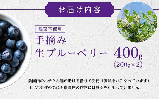 【農薬不使用】 手摘み生ブルーベリー 400g 142069_JJ001