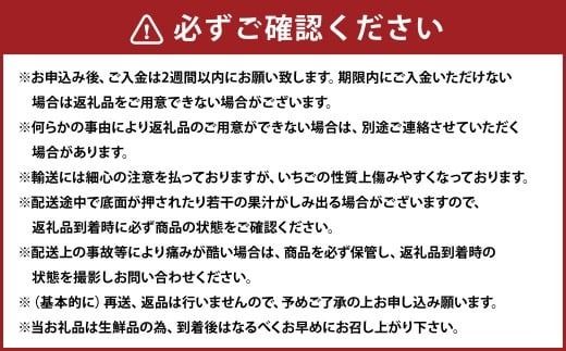 大粒あまおう 2パック 合計500～540g 【2026年2月上旬～4月上旬発送予定】 あまおう 苺 いちご 果物 果実 フルーツ 大粒 国産 九州 福岡県 香春町 冷蔵