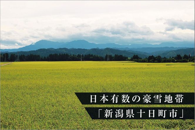 ゆきまち米 2合×6個 【極上魚沼産コシヒカリ】 お米
