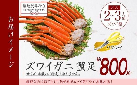 3536. 無地熨斗 ズワイガニ 蟹足 ボイル 約800g 2-3人前 カニ 蟹 かに ズワイ ズワイ蟹 ずわい ずわい蟹 ズワイガニ 脚 足 海鮮 鍋 かに足 かに脚 お取り寄せ ギフト 贈答用 ギフト 熨斗 のし 名入れ不可 送料無料 北海道 弟子屈町
