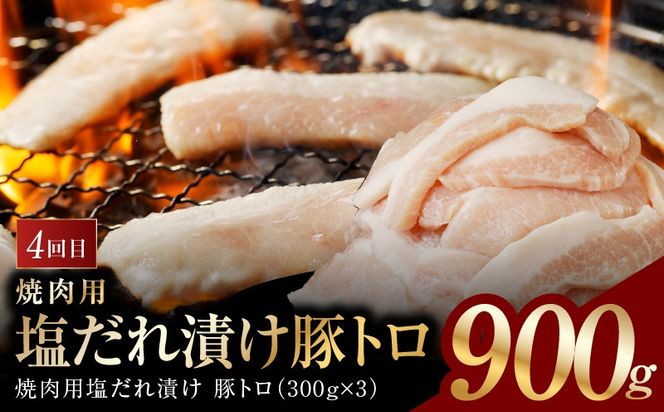 099Z127 アキラ商店 肉三昧 総量 4kg以上 定期便 全4回【毎月配送コース お楽しみ 焼肉 ていきびん 焼くだけ 小分け BBQ やきにく 数量限定】