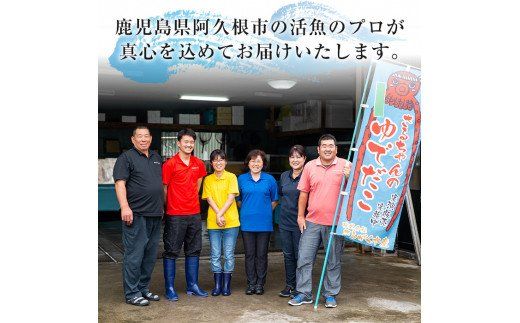 鹿児島県産地たこのゆでたこ(計400g) 国産 九州産 新鮮 地ダコ 魚介 魚貝 海産物 海鮮 蛸 味付 刺身 磯辺焼き たこ焼き 唐揚げ 料理 おかず お弁当【さるがく水産】akn028-01