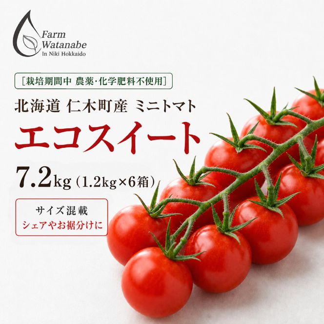2027年発送 先行受付[栽培期間中 農薬・化学肥料不使用] 北海道 仁木町産 ミニトマト エコスイート 1.2kg×6箱 サイズ混載 トマト 野菜 [Farm Watanabe]