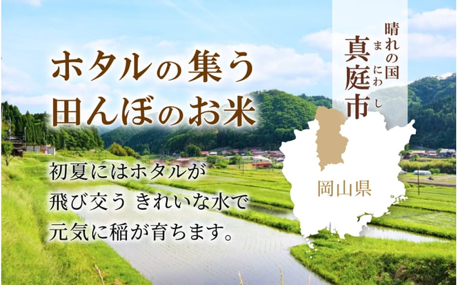 ＜定期便全６回＞ 令和7年産 真庭市産 ひとめぼれ 白米 10kg(5kg×2袋)×６回（定期便）/ お米 岡山県 真庭市 白米 米 ひとめぼれ 人気 2025年産 【tkns-tkb005-cho】
