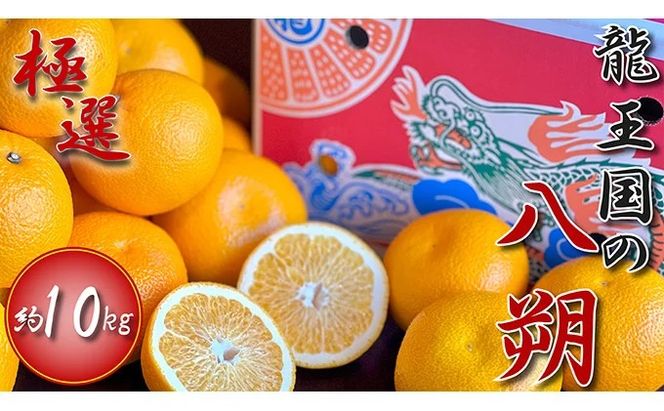 【2026年3月中旬より順次発送】【極撰】龍王国の八朔 約10kg はっさく ハッサク 柑橘 果物 フルーツ 果実 みかん ふるさと納税みかん 美味しい 人気 旬のフルーツ 旬の果物 フルーツギフト 果物ギフト お取り寄せ 香川県 丸亀市