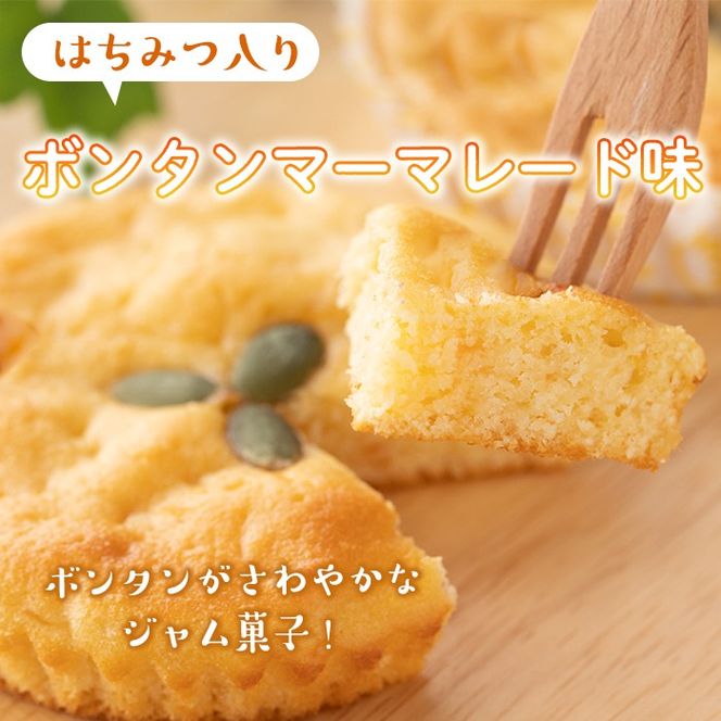 isa411 ＜数量限定＞ジャム菓子3種(ブルーベリー味6個、ボンタン味6個・かぼちゃ味6個・計18個) 詰め合わせ 洋菓子 菓子 焼き菓子 ジャム ギフト 【薩摩美食倶楽部】