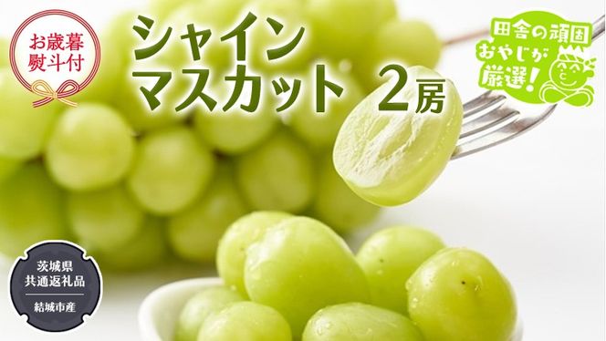 【お歳暮 熨斗付】 シャインマスカット 2房 【2026年12月より発送開始】 （茨城県共通返礼品 [ぶどう]：結城市産） 田舎の頑固おやじが厳選！ マスカット 種なし 大粒 高糖度 御歳暮 ギフト ぶどう 巨峰 フルーツ 甘い  [BI270-NT]