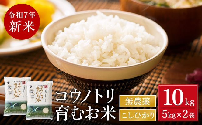 yɌLszߘa7NY@V _  10kg REmgނ V AnY Ђ ɌY(5kg×2)i94-002j_  10L   REmg RVqJ _sgp ʍ͔| V \ R   CX _