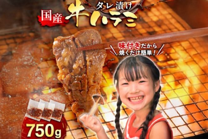 牛肉 焼肉 国産 特製たれ漬 牛ハラミ サガリ 750g [宇美ホルモン 福岡県 宇美町 um40azp100004] ハラミ はらみ 牛はらみ 小分け 個包装 牛 肉 焼き肉 ホルモン タレ漬け たれ漬け