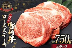 【最上等級使用！】 牛肉 宮崎牛 ロース ステーキ 250g × 3枚 計750g [ミヤチク 宮崎県 日向市 452061580] 小分け 個包装 和牛 ブランド牛 黒毛和牛 冷凍 4等級 5等級