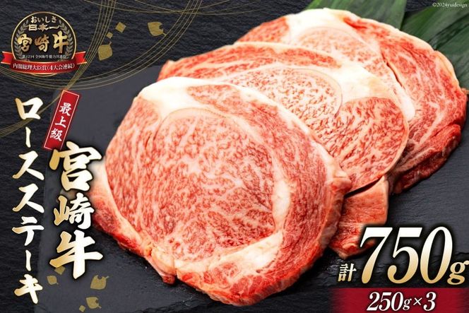 y{茧szyŏ㓙gpIz  {苍 [X Xe[L 250g × 3 v750g [~`N {茧 s 452061580]   a uh јa Ⓚ 4 5