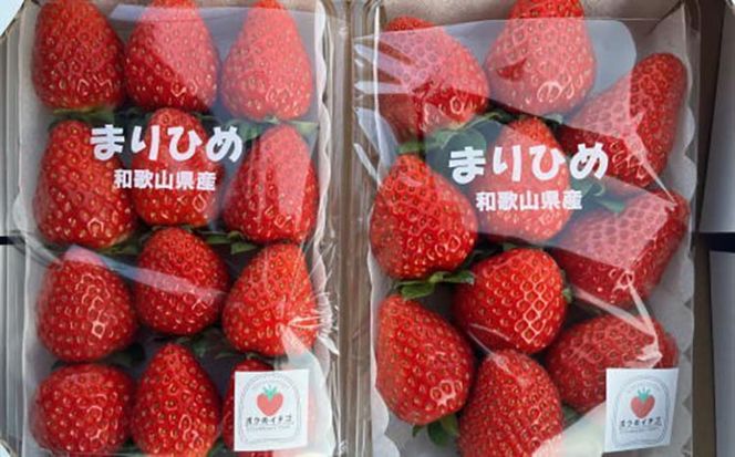 【3月発送】和歌山県産ブランドいちご「まりひめ」約300g×2パック入り