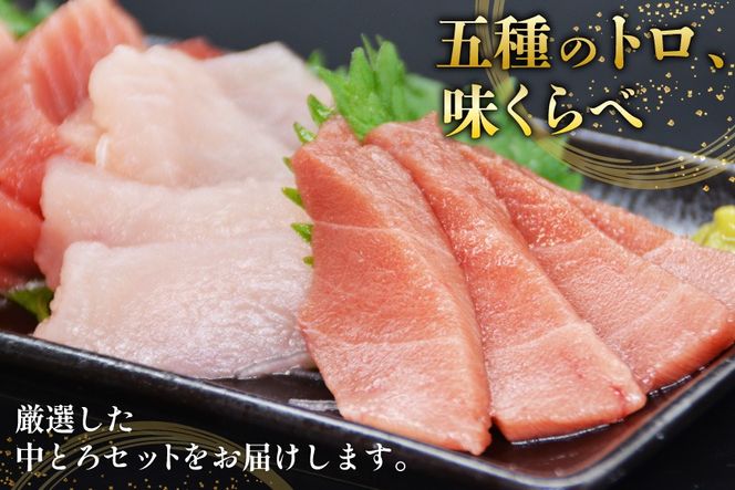 北かつのマグロ 中トロセット [北かつ商事 宮城県 気仙沼市 20563599] 魚 刺身 柵 鮪 まぐろ マグロ 本マグロ 南マグロ 中トロ メカジキ メバチ めばち ビンチョウ 冷凍 魚介類 魚介 新鮮 高級 