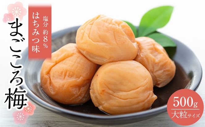 �y�a�̎R�����l���z�ɏ� �I�B�썂�~ �܂�����~ �͂��݂� �~���� 3L �T�C�Y�ȏ� 500g ���� ��8�� ���ϔ����� 304018_CS009