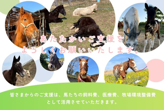 【返礼品なし】引退馬・仔馬の飼育支援 30,000円【カナディアンキャンプ乗馬クラブ】_HA2057 馬 仔馬 飼育支援 牧場 福岡県宗像市 宗像市 福岡 宗像