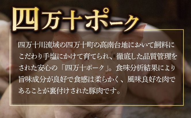 ハンバーグ ５個セット 土佐あかうしと四万十ポーク 国産牛 国産豚 高知県産 yj070!
