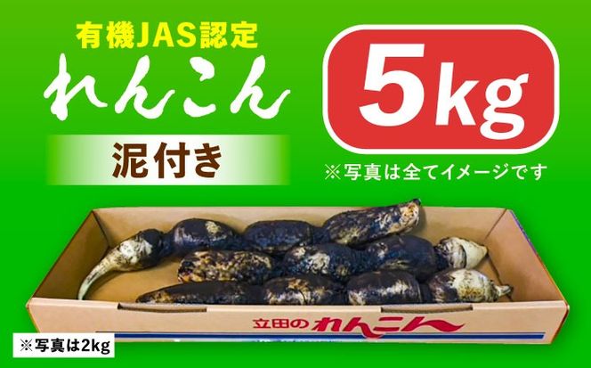 有機JAS認証 土付きレンコン 5kg れんこん 有機栽培 産地直送 野菜 愛西市 / 株式会社山三レンコン [AEBK004]