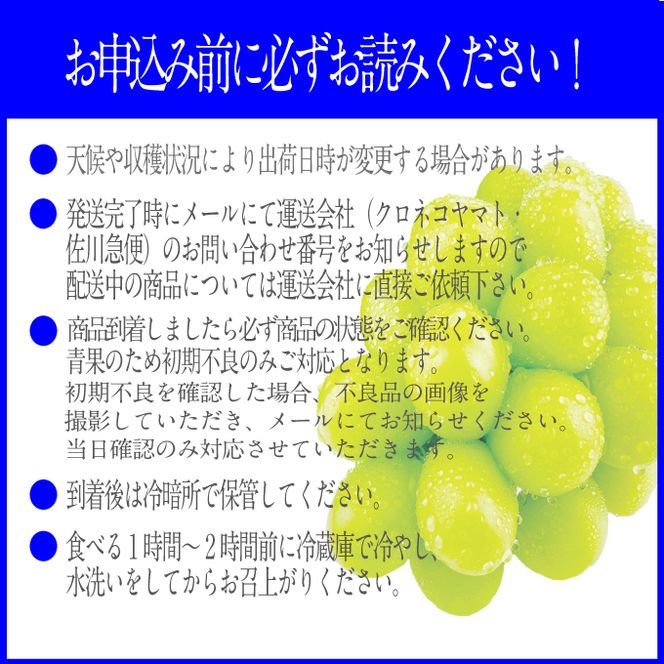 2026年予約受付中【2回定期便】 プレミアムシャインマスカット晴王 1房約700g/人気 岡山県産 赤秀品  種無し 皮ごと食べる みずみずしい 9月・10月にお届け   ハレノフルーツ