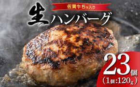《数量限定》総重量2.7kg 佐賀牛ハンバーグ 【120g×23個】 計2760g ※一部配送不可地域有り
