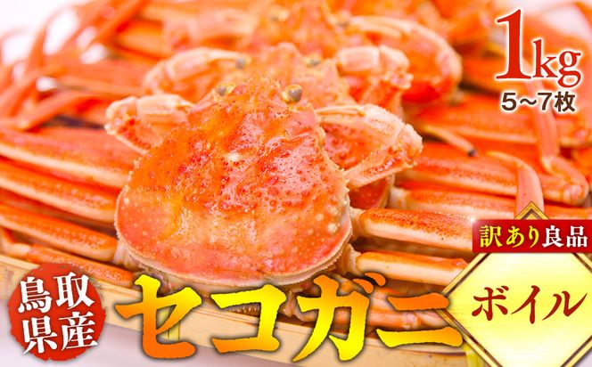 921.【ボイル】鳥取県産　セコガニ　訳あり良品　1ｋg(5～7枚)《かに カニ 蟹 セコガニ》※2026/11/6～2026/12/25に順次発送予定※着日指定不可  離島不可（北海道、沖縄本島は配送可能） 313726_AL001VC02