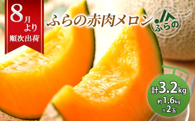 2026年夏発送 JAふらの厳選！ふらの赤肉メロン 1.6kg×2玉  メロン めろん 富良野メロン 果物 くだもの フルーツ 富良野 デザート 北海道 贈り物 ギフト 果物類 メロン赤肉 