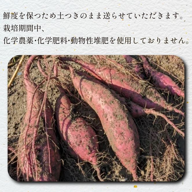 【産地直送】小林市産さつまいも「紅はるか」4kg