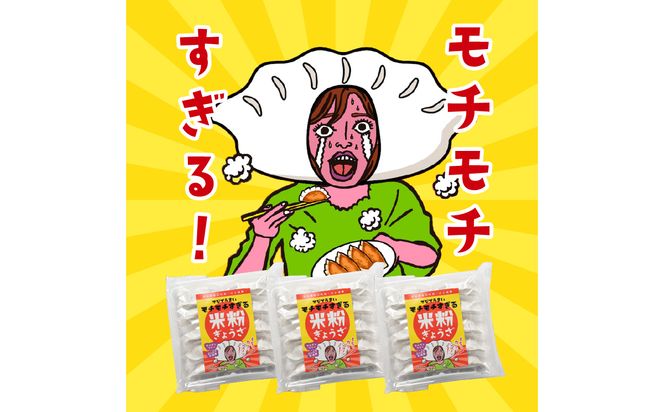 【A02037】マジでうまい！モチモチすぎるニラ子の米粉ぎょうざ 大分県産豚肉・にら100%使用(ニラ醤油タレ付) 10個入り3パック