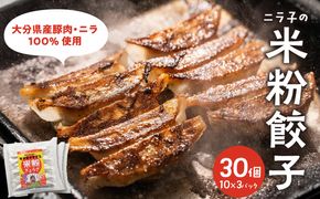 【A02037】マジでうまい！モチモチすぎるニラ子の米粉ぎょうざ 大分県産豚肉・にら100%使用(ニラ醤油タレ付) 10個入り3パック