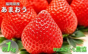 いちご あまおう 福岡県産 約1kg 250g×4パック 筑前あさくら農協 配送不可 離島 果物類 苺 イチゴ 配送期間：2027年1月下旬～3月上旬