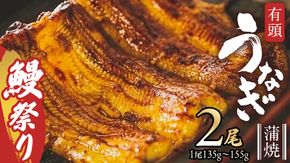 【牛久うなぎ祭り開催！期間限定の特別受付スタート】 鹿児島県産 有頭 鰻 蒲焼 × 2尾 （ 1尾 135g ～ 155g 以上） 土用の丑の日 鰻祭り うなぎ ウナギ 土用丑の日 家庭用 贅沢 国産 旬 敬老の日 タレ 山椒 付 縁起