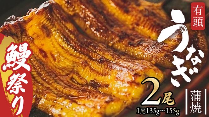 【牛久うなぎ祭り開催！期間限定の特別受付スタート】 鹿児島県産 有頭 鰻 蒲焼 × 2尾 （ 1尾 135g ～ 155g 以上） 土用の丑の日 鰻祭り うなぎ ウナギ 土用丑の日 家庭用 贅沢 国産 旬 敬老の日 タレ 山椒 付 縁起