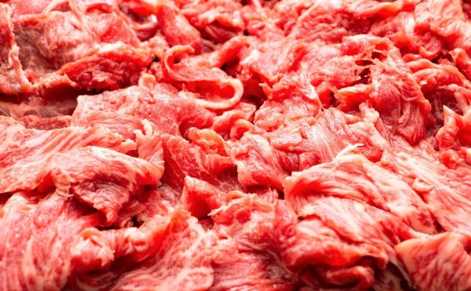 限定 牛肉 博多和牛 A4～A5 切落とし 合計10kg（500g×20p）肩ロース 赤身 バラ カルビ 配送不可：離島 牛肉炒め物 お肉 バラ(カルビ) 