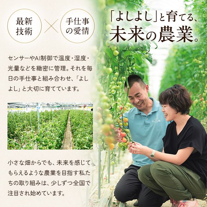 【最旬お届け!!】よしよし畑のあま～い トマト ( 中玉トマト ) 800g ～ 1kg 程度 新鮮 産地直送 冷蔵 とまと おいしい おすすめ ギフト お取り寄せ