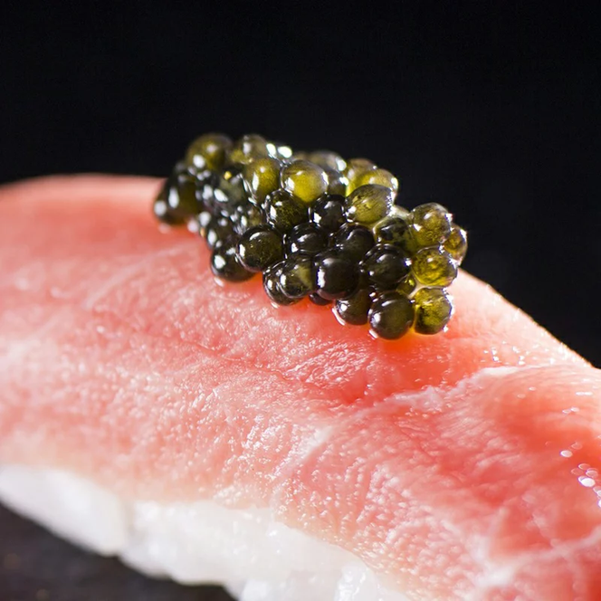 宮崎キャビア1983 プレミアム 20g N027-YE109