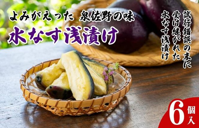 010B1970 よみがえった泉佐野の味 水なす浅漬け6個【泉州 泉佐野産 水ナス 水茄子 ぬか漬け 漬物】