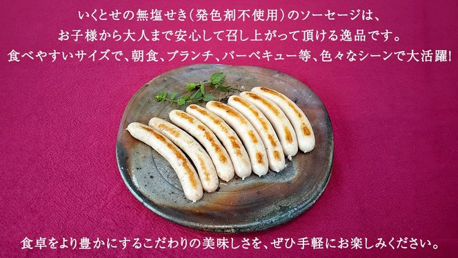 職人が作る ドイツソーセージ 2種ミックスセット （12本入×各1パック）計650g いくとせ ウインナー ハム 無添加 無塩せき 美味しい ソーセージ 国産 豚 機内食 ビジネスクラス ファーストクラス ドイツ 職人 厳選 朝食 ランチ BBQ キャンプ 肉 生活応援 食べ比べ 小分け [DK13-NT]