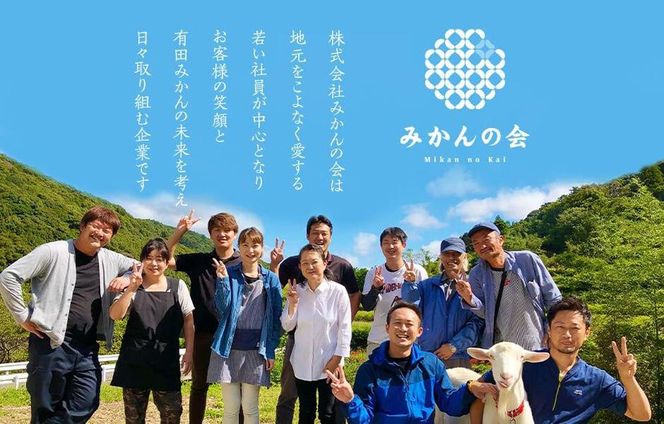 【お中元】ハウスみかん 温室栽培 夏の有田みかん 約1kg 秀品 S・M・Lサイズのいずれか 和歌山県 産地直送 みかんの会 【7月上旬～8月上旬に順次発送】 AX154-02