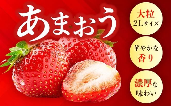【先行予約】【全3回定期便】農家直送 朝どり新鮮いちご【博多あまおう】約270×2パック【2027年2月以降順次発送】《築上町》【株式会社H&Futures】[ABDG008]