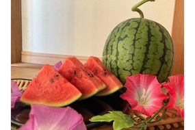 【先行予約】京丹後・俵野産 小玉スイカ 姫甘泉 1玉（2026年7月中旬～発送） IU00002