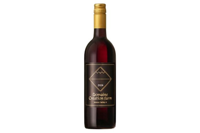 ワイン シャインマスカット醸しワイン 樽熟成赤ワインセット 750ml x 2本 [Creation farm 山梨県 韮崎市 20745402] 飲み比べ 飲み比べセット 山梨 ワイン わいん wine シャインマスカット 赤ワイン 赤 お酒 酒 甘口 洋酒