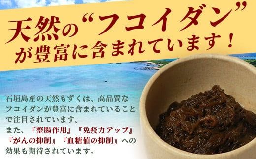 石垣島産天然もずく10パック・内容量450g×10 合計4.5kg【 沖縄県 石垣市 天然 水雲 海藻 もずく フコイダン 常温保存 塩もずく 】SI-64