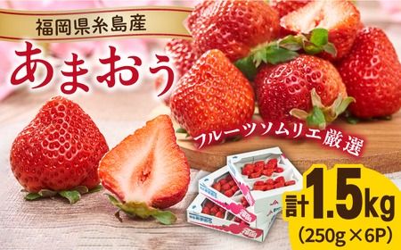 【先行予約】糸島産【春】 あまおう 6パック 【2025年2月上旬以降順次発送】 《糸島》【南国フルーツ株式会社】