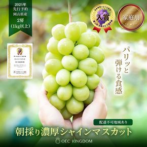 ぶどう 2026年 先行予約 ［ご家庭用］ シャイン マスカット 2房（合計1kg以上） ブドウ 葡萄 岡山県産 国産 フルーツ 果物 OEC KINGDOM ぶどう家 果物類 